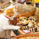 Image for article titled Cats Are the Cutest Guides to Japan
